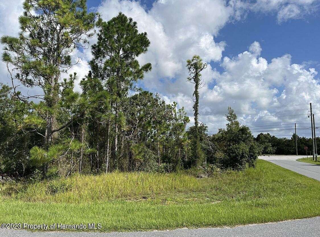 0.52 Acres of Residential Land for Sale in Weeki Wachee, Florida