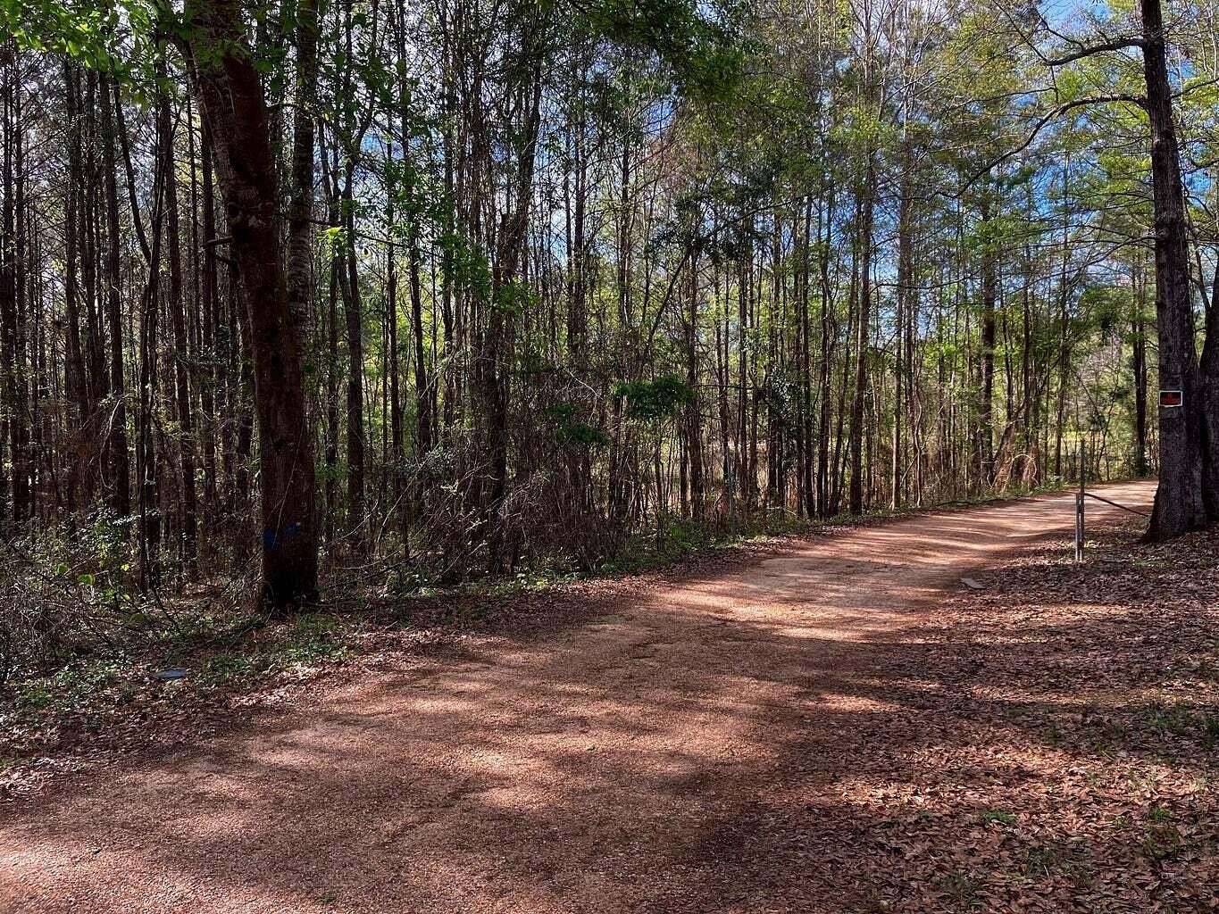 11.5 Acres of Land for Sale in Hattiesburg, Mississippi