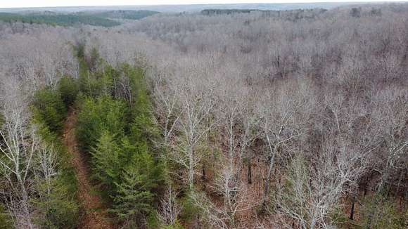 27.92 Acres of Recreational Land & Farm for Sale in Hohenwald, Tennessee