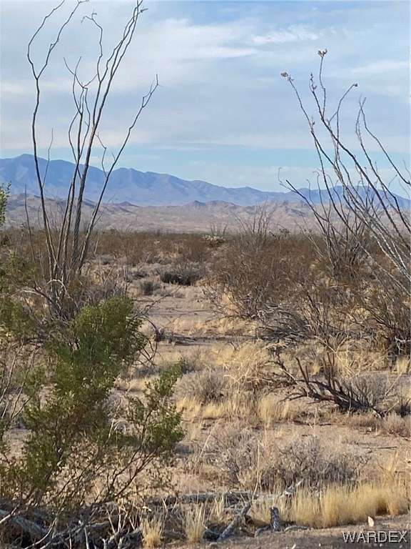 39.9 Acres of Recreational Land & Farm for Sale in Yucca, Arizona