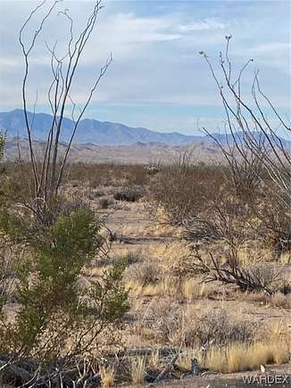 39.91 Acres of Recreational Land & Farm for Sale in Yucca, Arizona