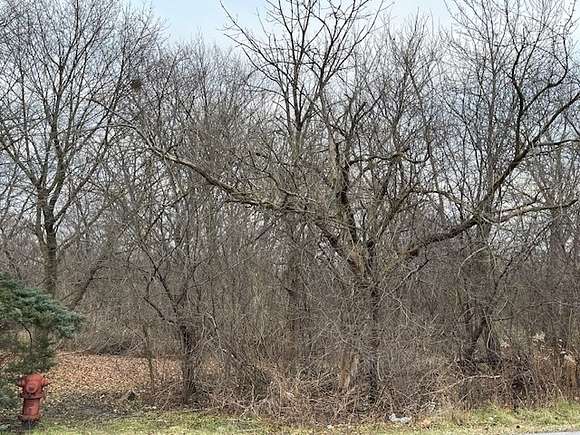 0.92 Acres of Residential Land for Sale in Steger, Illinois