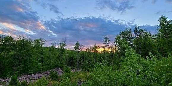 133 Acres of Land for Sale in Rome, Maine