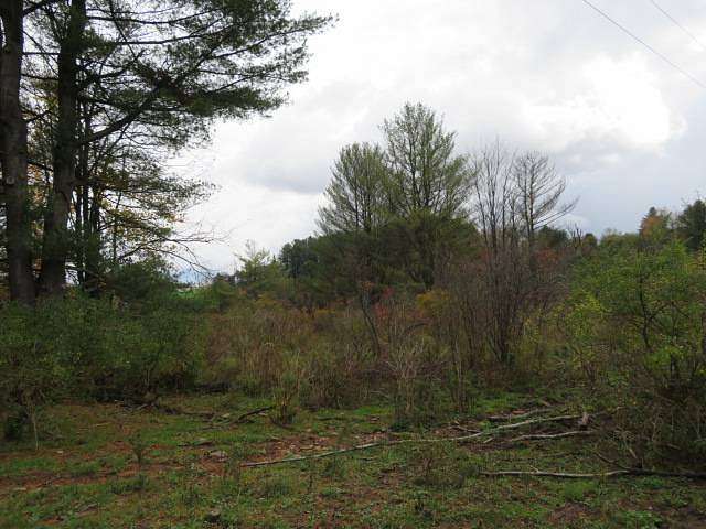 4.7 Acres of Residential Land for Sale in Willet, New York