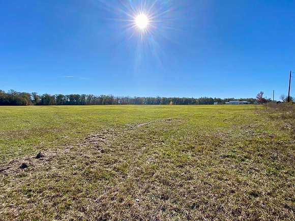 35.5 Acres of Agricultural Land for Sale in Groveton, Texas