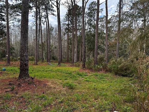 2 Acres of Residential Land for Sale in New Port Richey, Florida
