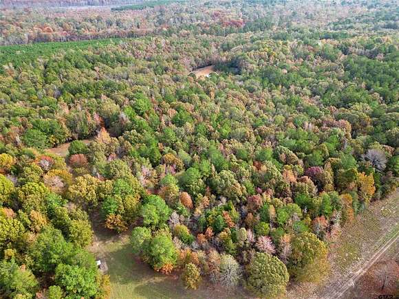 144 Acres of Recreational Land for Sale in Jefferson, Texas