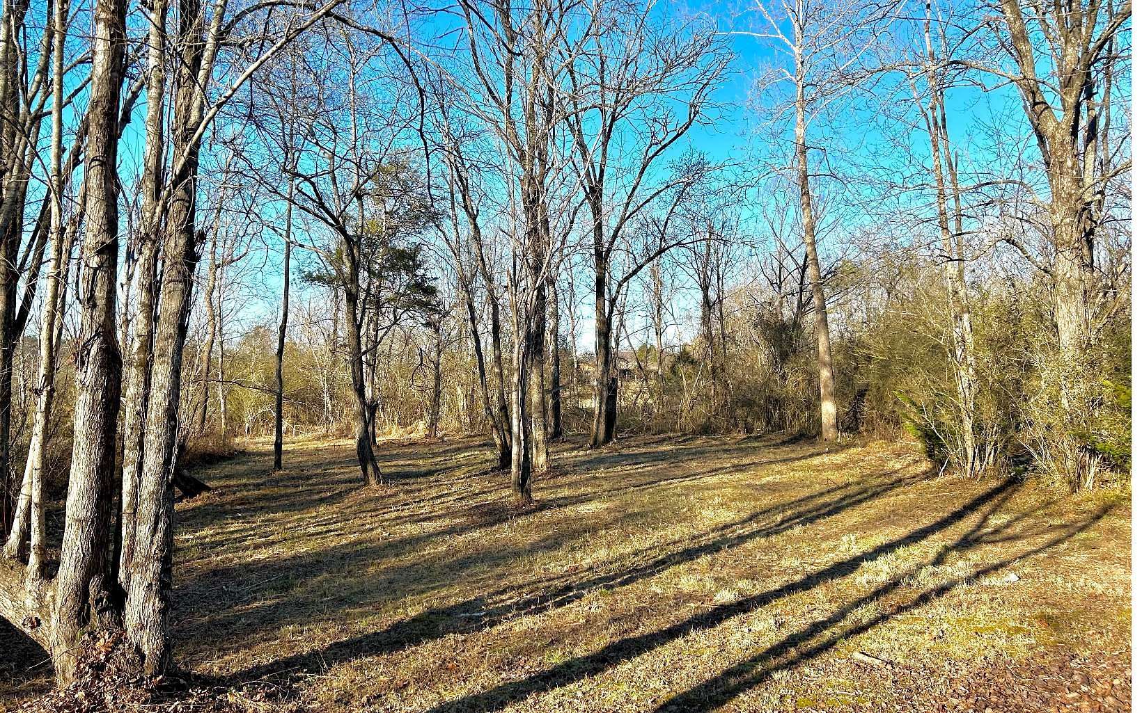 0.47 Acres of Land for Sale in Young Harris, Georgia