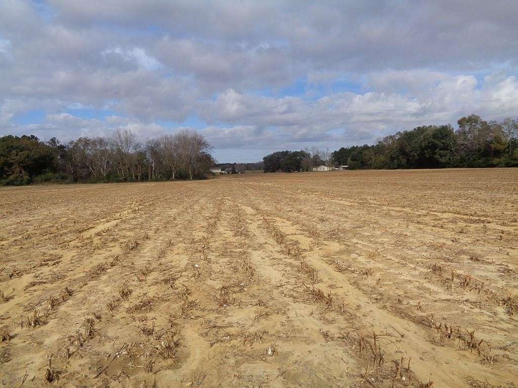 19 Acres of Land for Sale in Blakely, Georgia