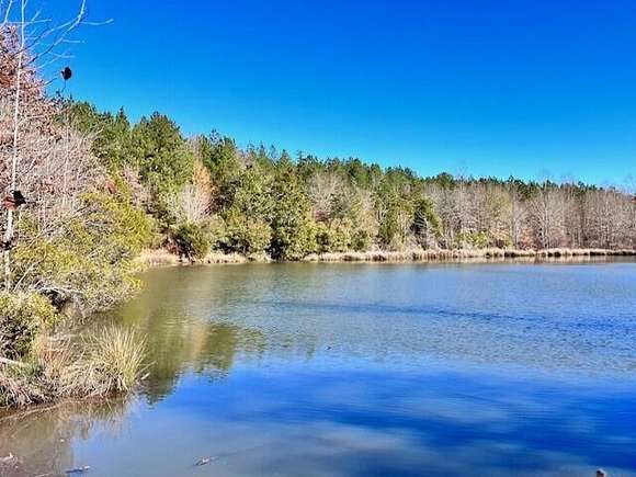 23.5 Acres of Recreational Land for Sale in Appling, Georgia