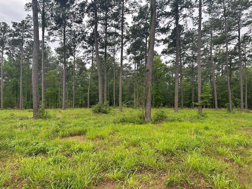 1 Acre of Land for Sale in Brookeland, Texas