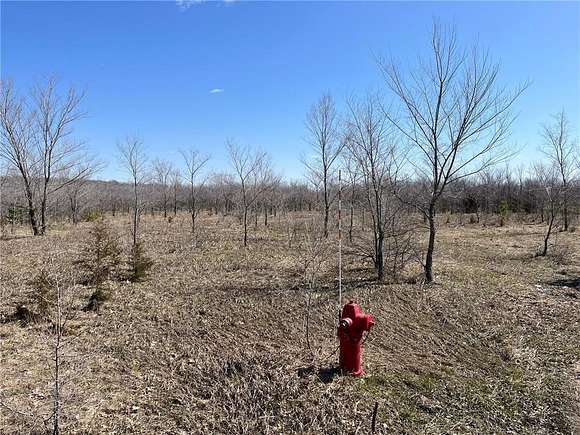 48.8 Acres of Land for Sale in Big Lake, Minnesota