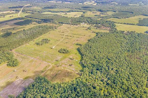 122 Acres of Recreational Land for Sale in Brooker, Florida