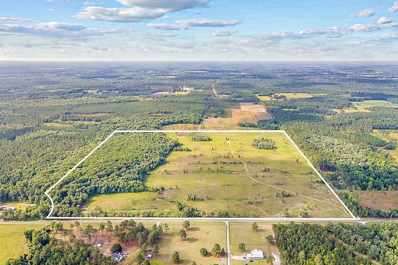 50 Acres of Recreational Land & Farm for Sale in Brooker, Florida