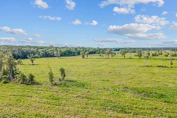 15 Acres of Recreational Land & Farm for Sale in Brooker, Florida
