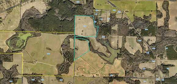71.8 Acres of Agricultural Land for Sale in Byromville, Georgia