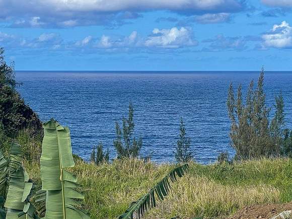 1.025 Acres of Residential Land for Sale in Nīnole, Hawaii