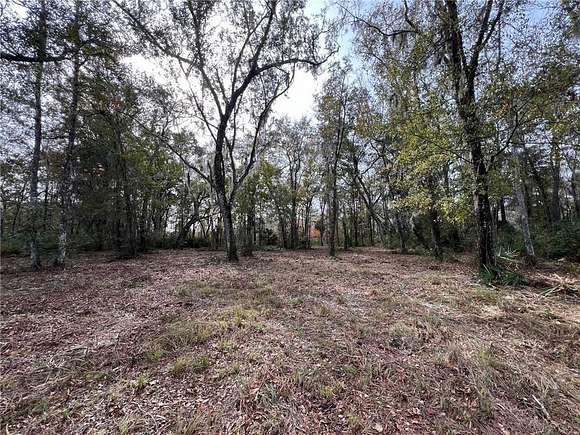 1 Acre of Residential Land for Sale in Brunswick, Georgia
