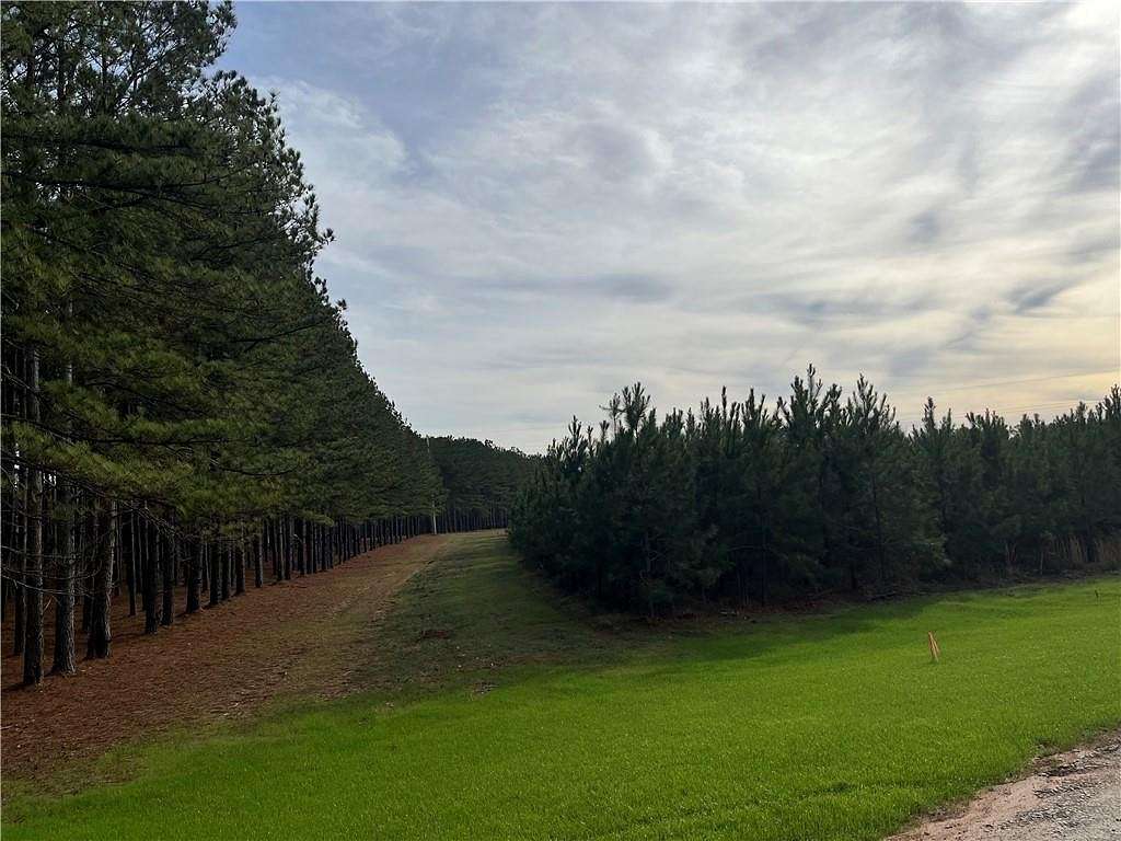 9 Acres of Land for Sale in Opelika, Alabama