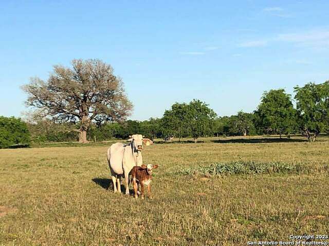 10.7 Acres of Land for Sale in Floresville, Texas