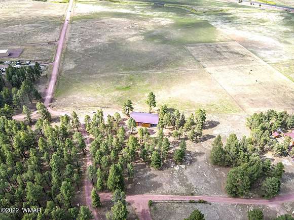 25.6 Acres of Improved Land for Sale in Alpine, Arizona