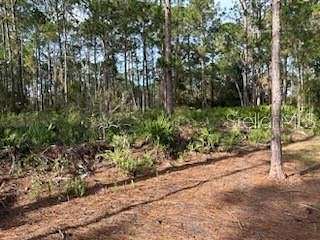 0.47 Acres of Residential Land for Sale in DeBary, Florida