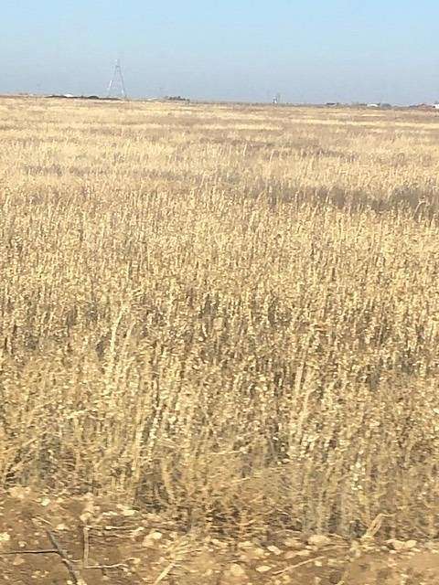 30 Acres of Land for Sale in Lubbock, Texas