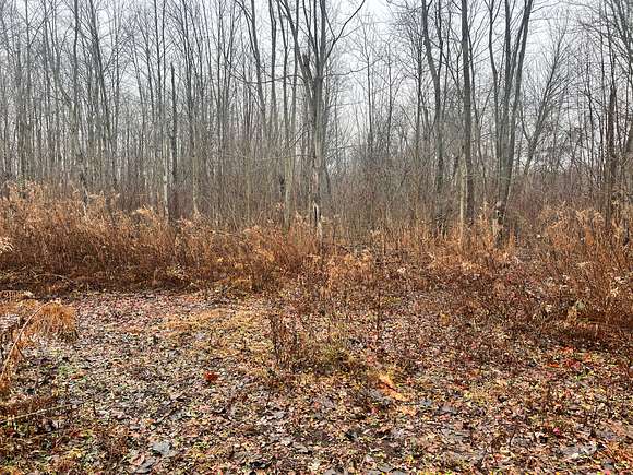 21.8 Acres of Recreational Land for Sale in Kingsville, Ohio