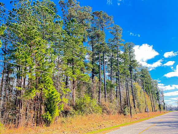2.7 Acres of Land for Sale in Nichols, South Carolina