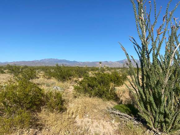 1.17 Acres of Land for Sale in Yucca, Arizona