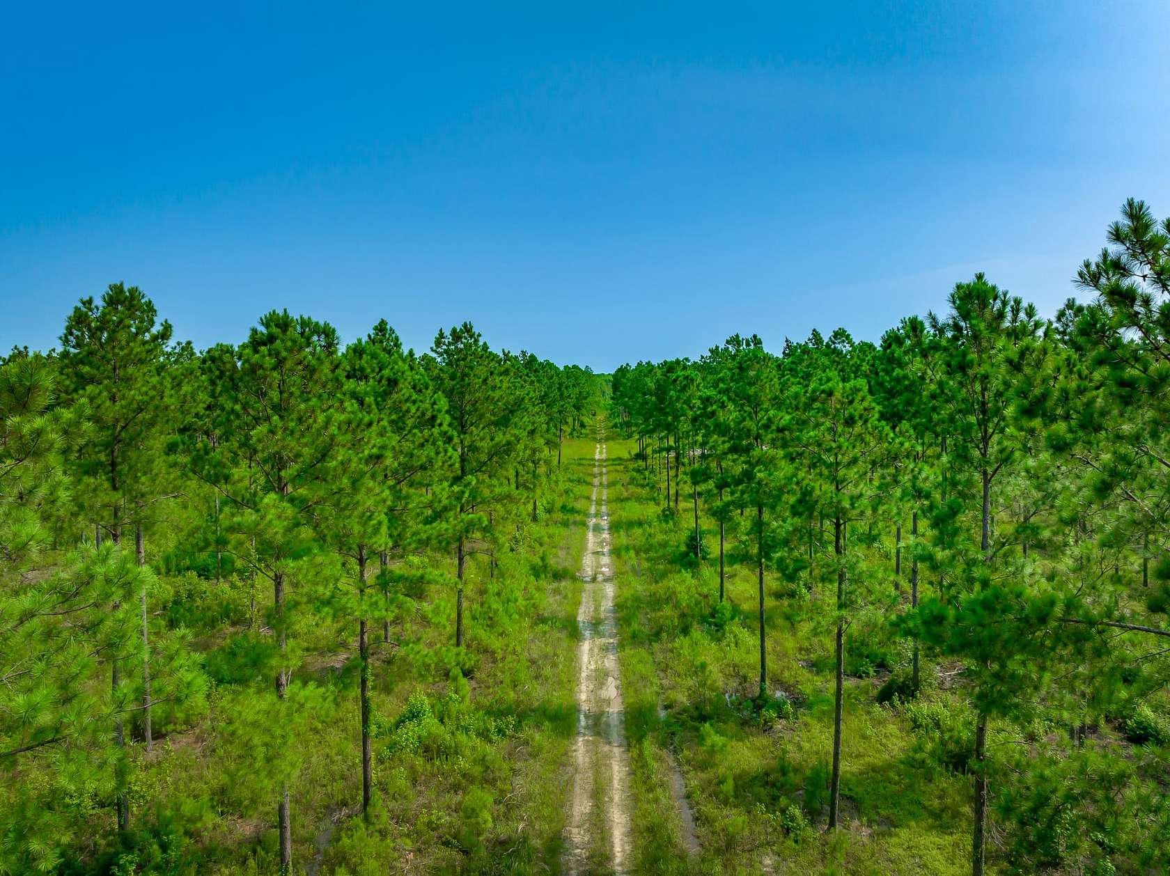359 Acres of Recreational Land for Sale in Conway, South Carolina