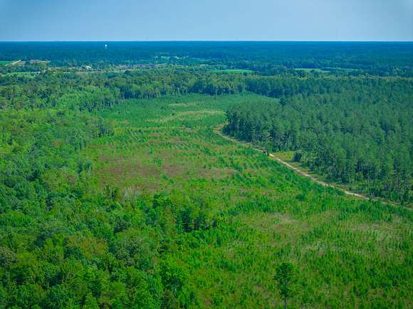 359 Acres of Recreational Land for Sale in Conway, South Carolina