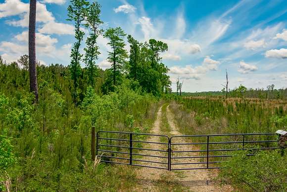 98 Acres of Recreational Land for Sale in Conway, South Carolina