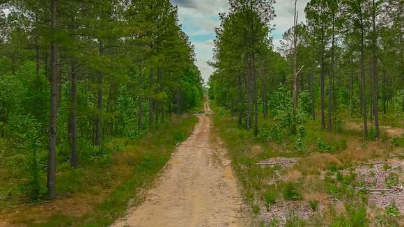 382 Acres of Recreational Land & Farm for Sale in Conway, South Carolina