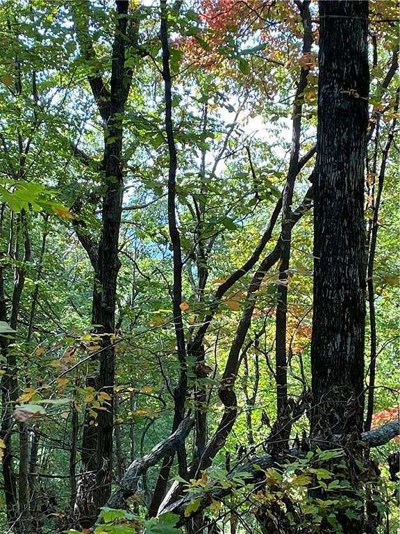 3.8 Acres of Residential Land for Sale in Ellijay, Georgia