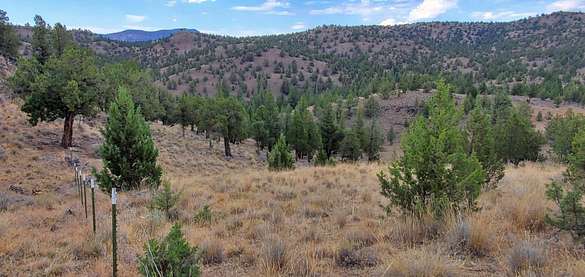 35.6 Acres of Recreational Land & Farm for Sale in Prineville, Oregon