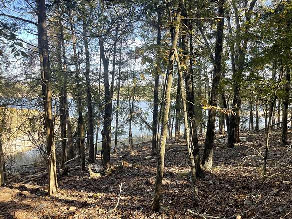 3.2 Acres of Land for Sale in Cedar Creek Township, Missouri