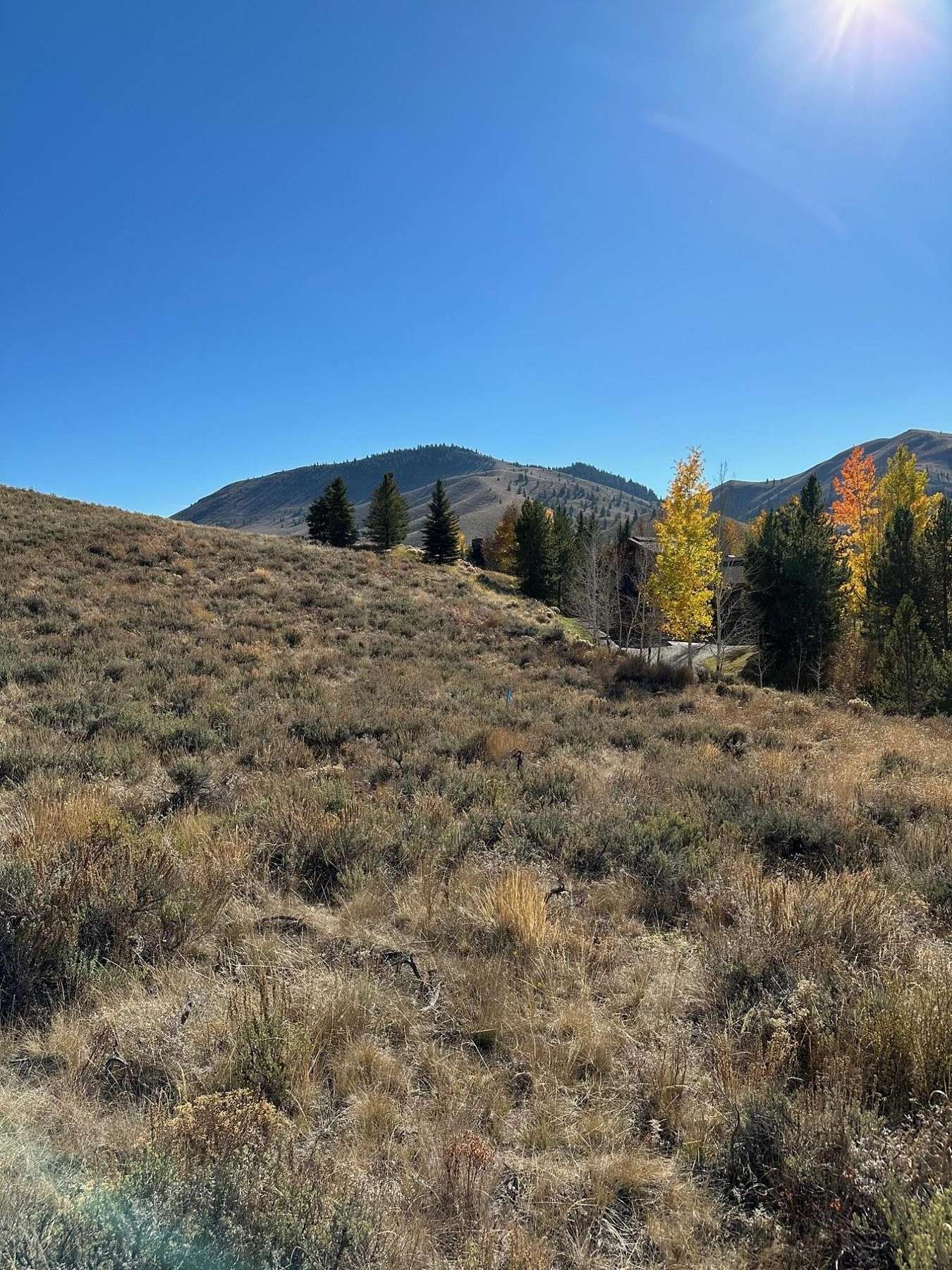 3 Acres of Residential Land for Sale in Sun Valley, Idaho