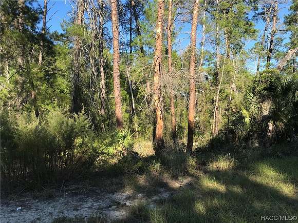 0.25 Acres of Residential Land for Sale in Homosassa, Florida