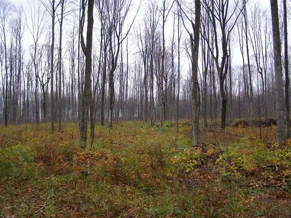 0.6 Acres of Residential Land for Sale in Antrim, Michigan