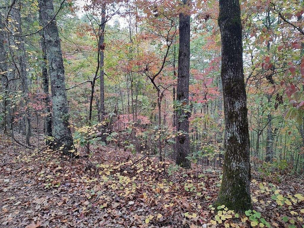 1.8 Acres of Land for Sale in Ranger, Georgia