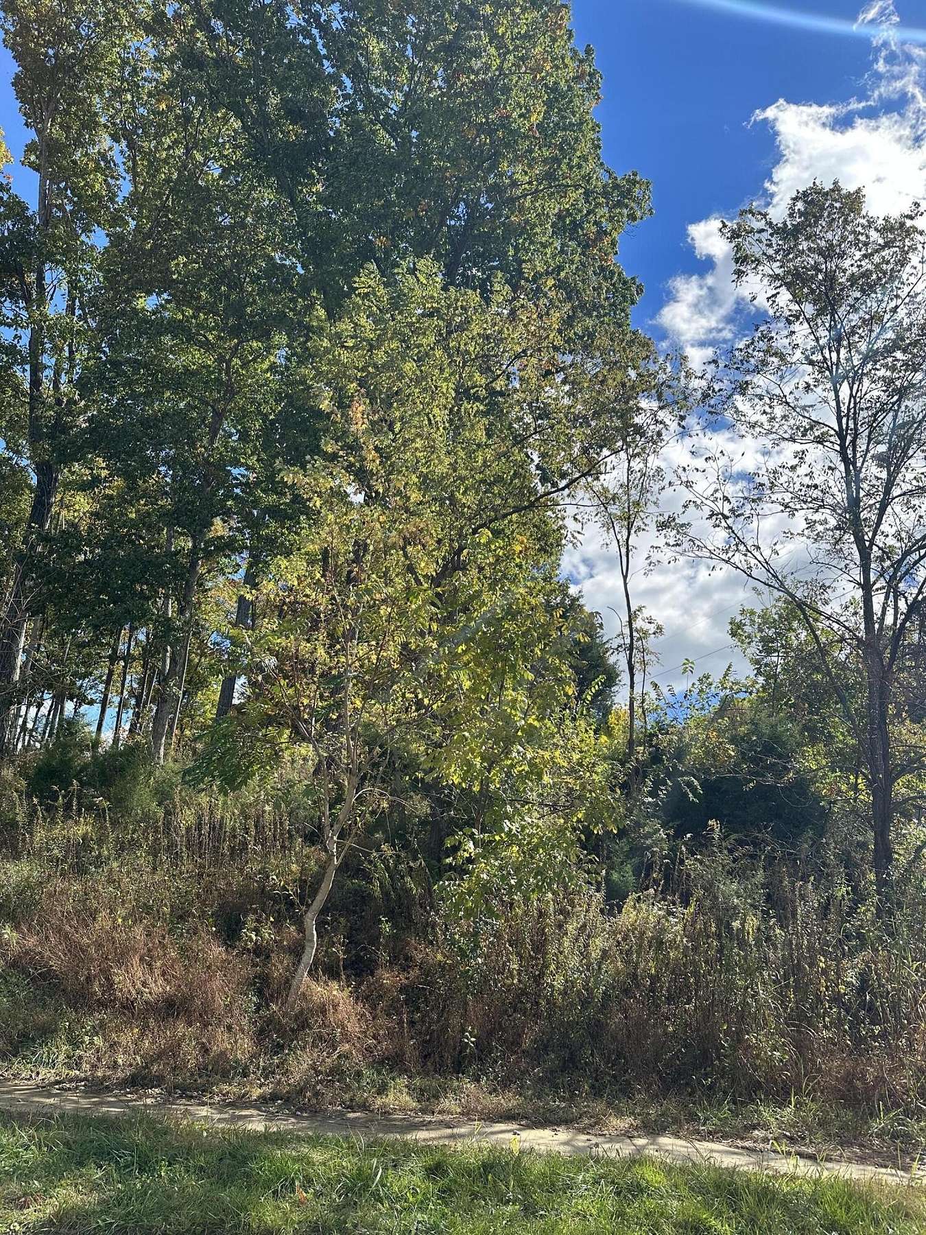 0.55 Acres of Land for Sale in Johnson City, Tennessee