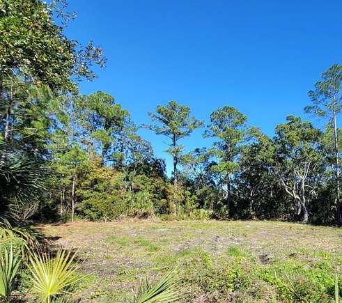 0.19 Acres of Residential Land for Sale in Crawfordville, Florida