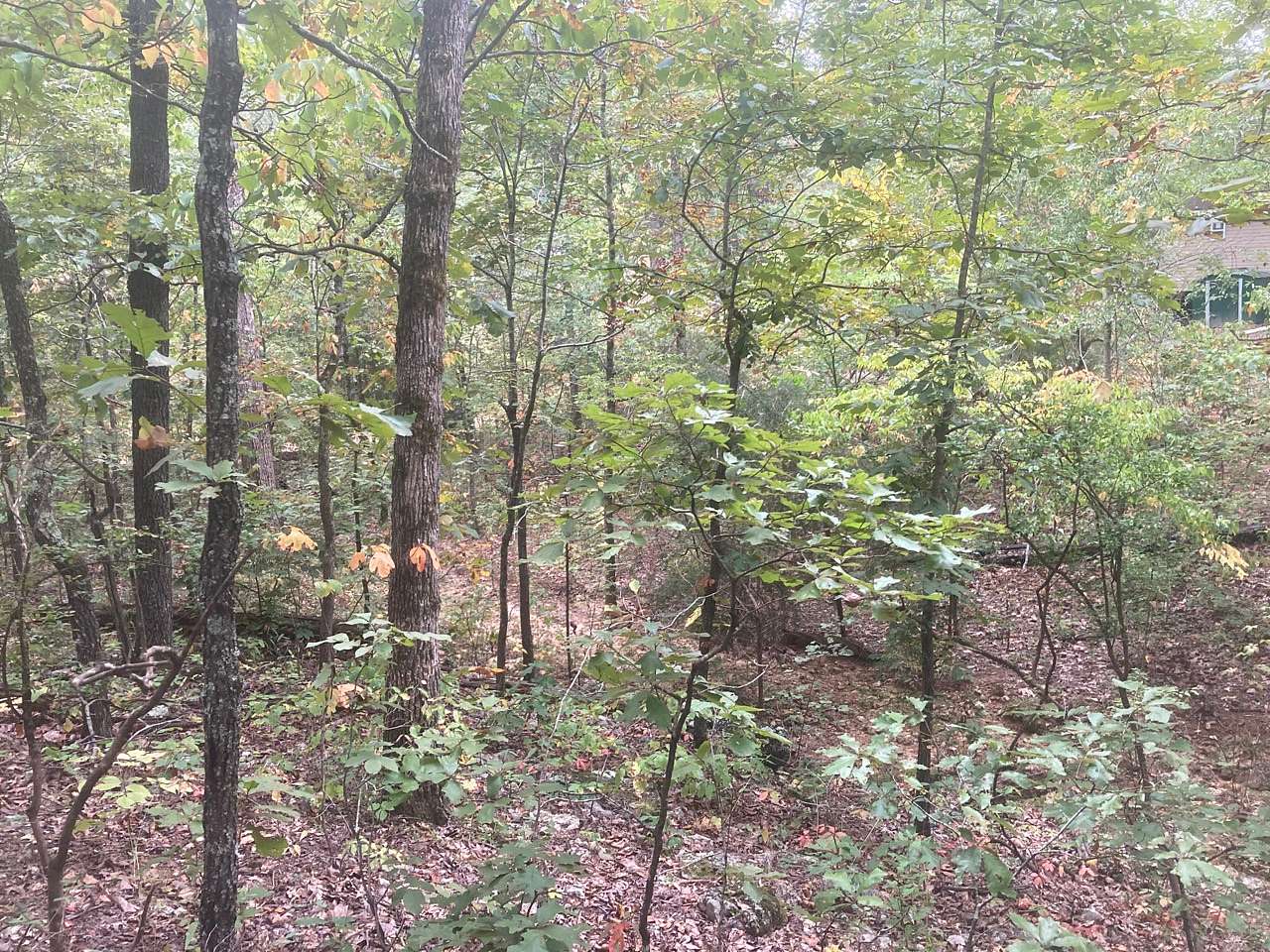 0.14 Acres of Residential Land for Sale in Williford, Arkansas LandSearch