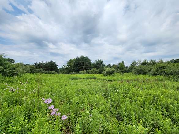 19.8 Acres of Land for Sale in Attica Township, Michigan