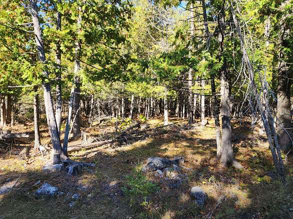 4.2 Acres of Residential Land for Sale in Hessel, Michigan