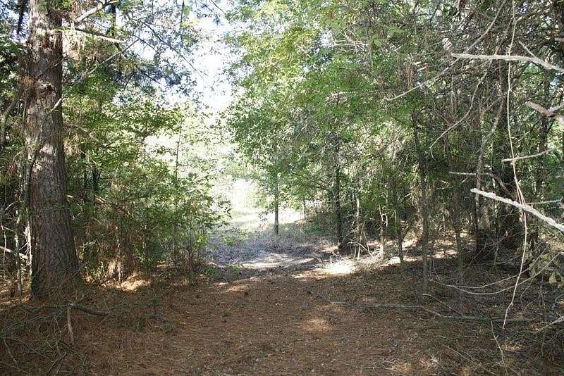 11.8 Acres of Recreational Land for Sale in Eustace, Texas