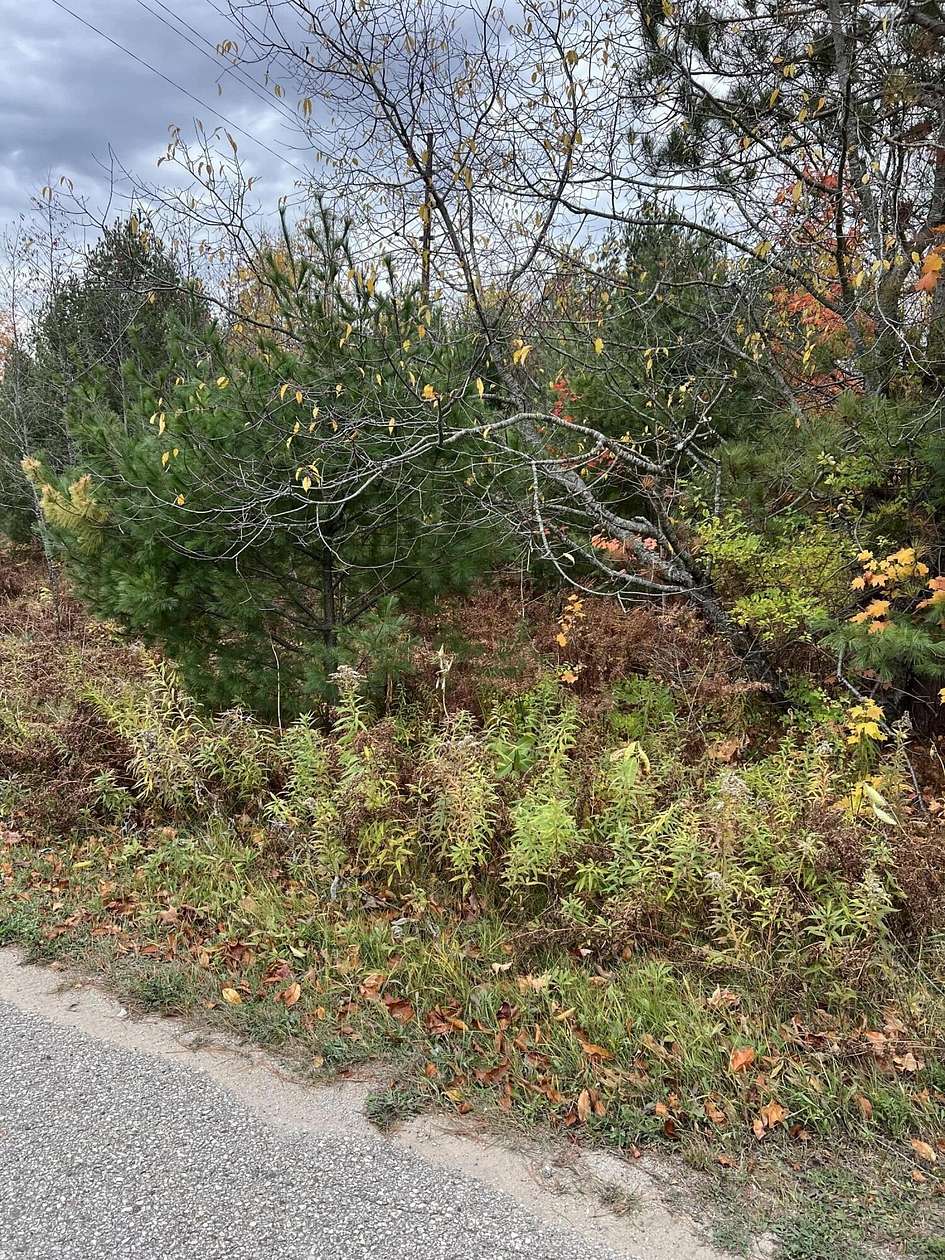 0.73 Acres of Residential Land for Sale in Engadine, Michigan