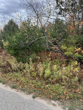 0.73 Acres of Residential Land for Sale in Engadine, Michigan