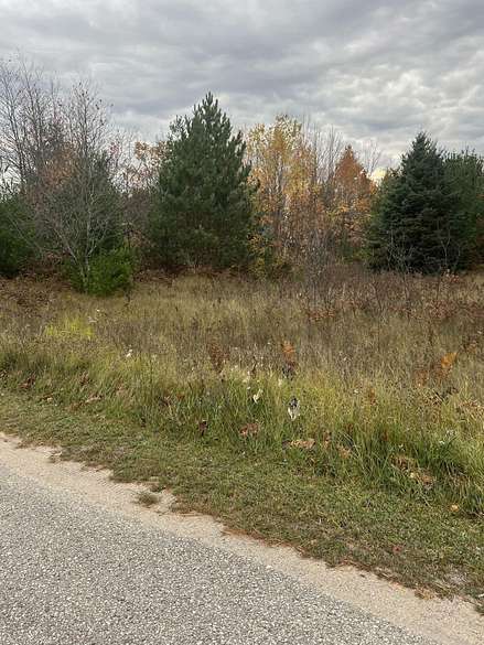 0.73 Acres of Residential Land for Sale in Engadine, Michigan